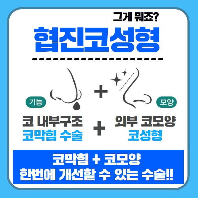 비염코성형실비 비염과 코성형을 함께하는 이유!? (2/11)