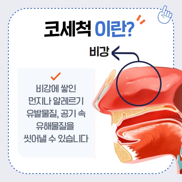 콧물이 주르륵 비염 코 세척과 비염치료. (2/14)