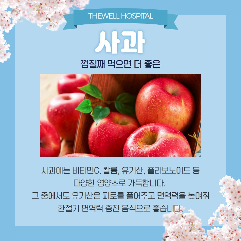 면역력을 높이는 음식 7가지! (3/13)