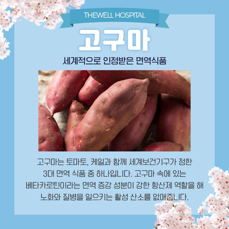 면역력을 높이는 음식 7가지! (6/13)