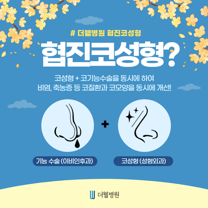 코성형 합리적 비용으로 할 수 있는 방법!! (2/11)