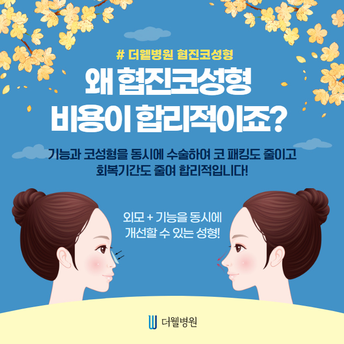 코성형 합리적 비용으로 할 수 있는 방법!! (4/11)